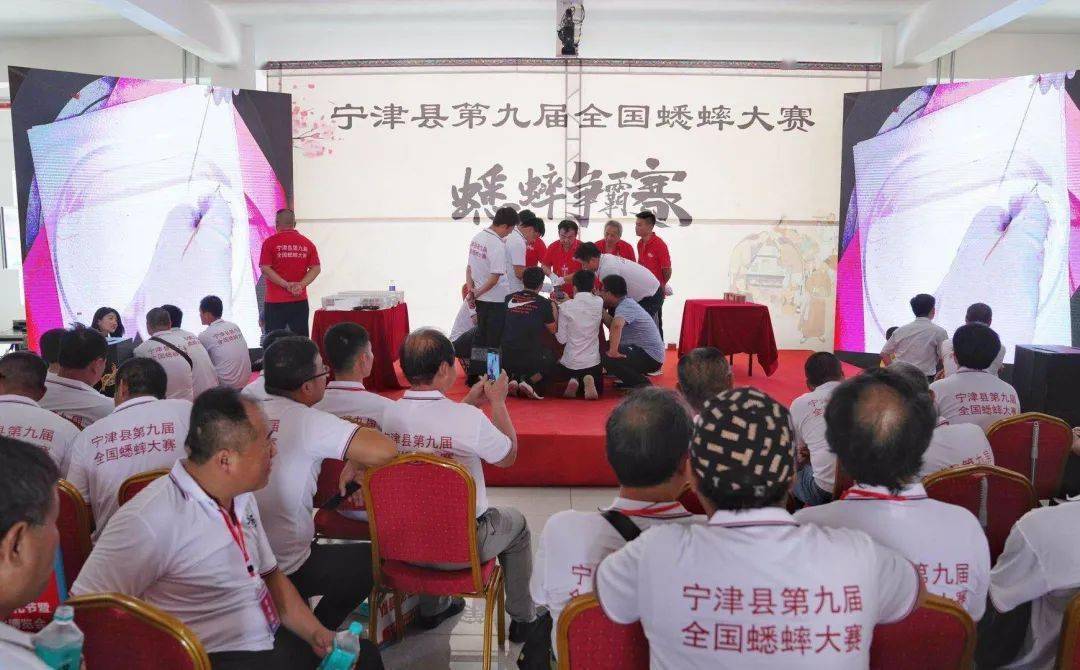 【媒体聚焦】斗蟋蟀,看非遗,赏杂技!