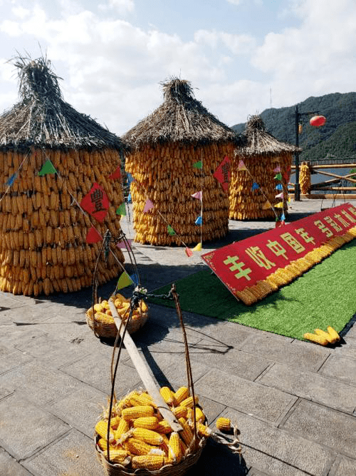 来啦倒计时1天庐江县2020中国农民丰收节明日开幕