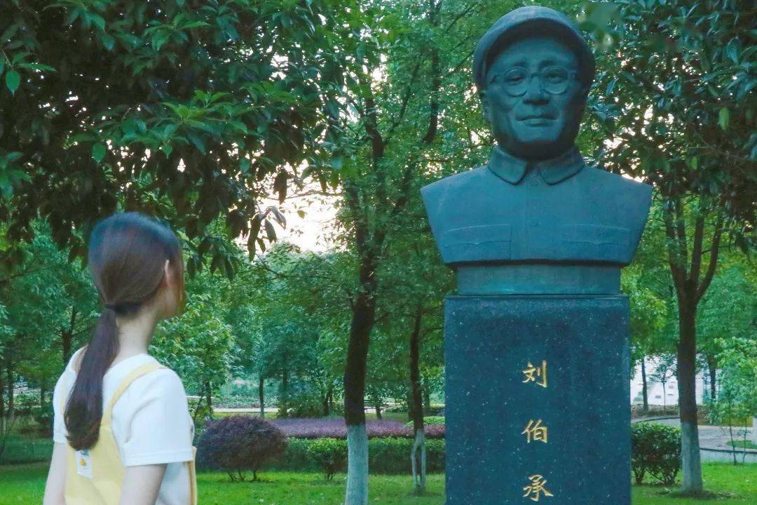 给一位历史人物献花,如刘伯承元帅.