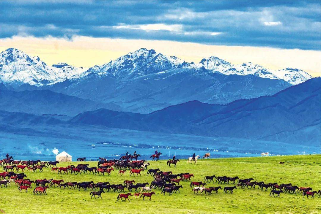 乘著夢想的列車,來伊犁感受詩和遠方_旅遊