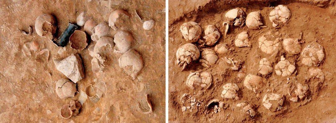 解谜双城并峙黄河两岸陶寺与石峁如何此消彼长