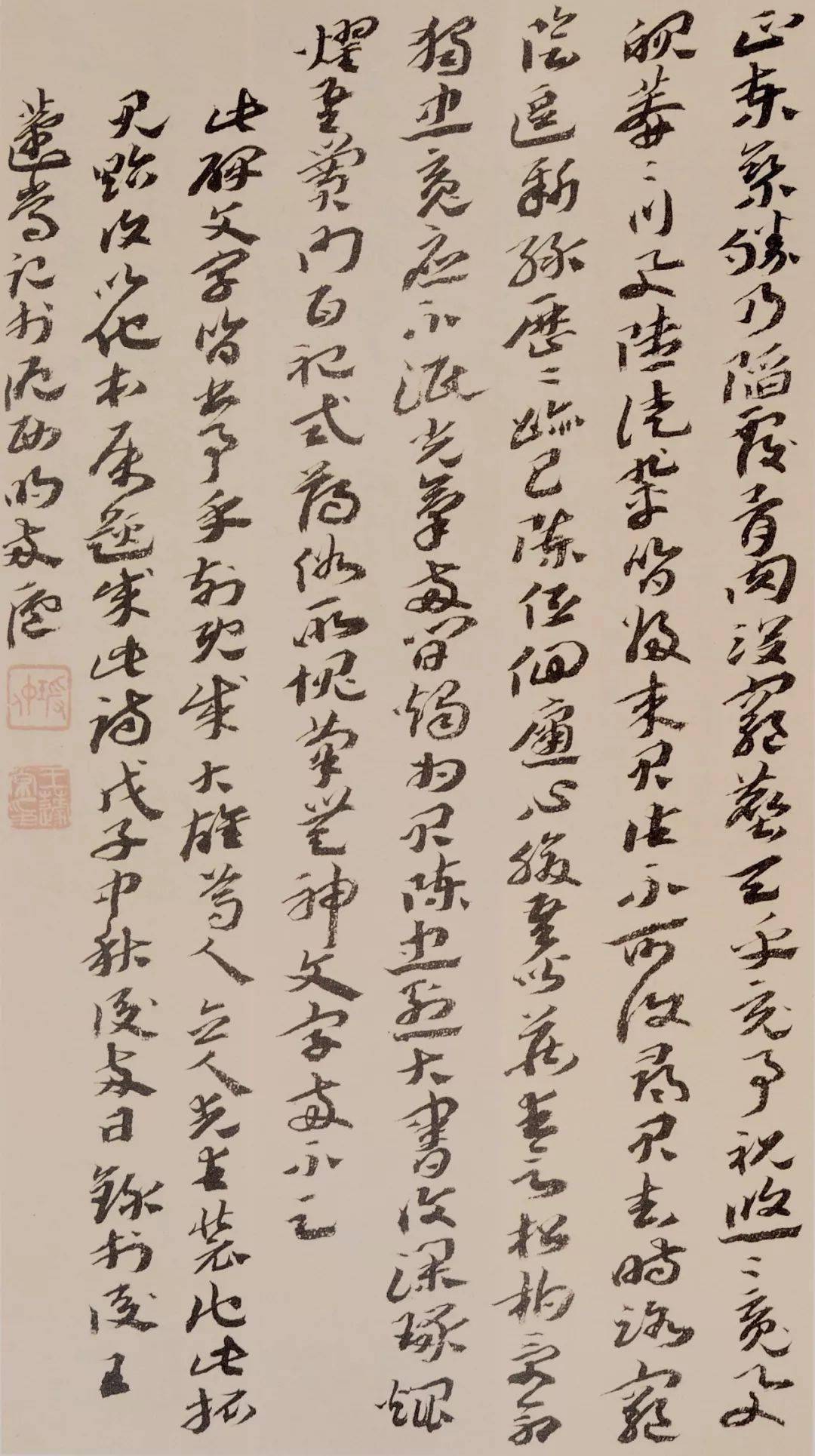 章草为何叫章草