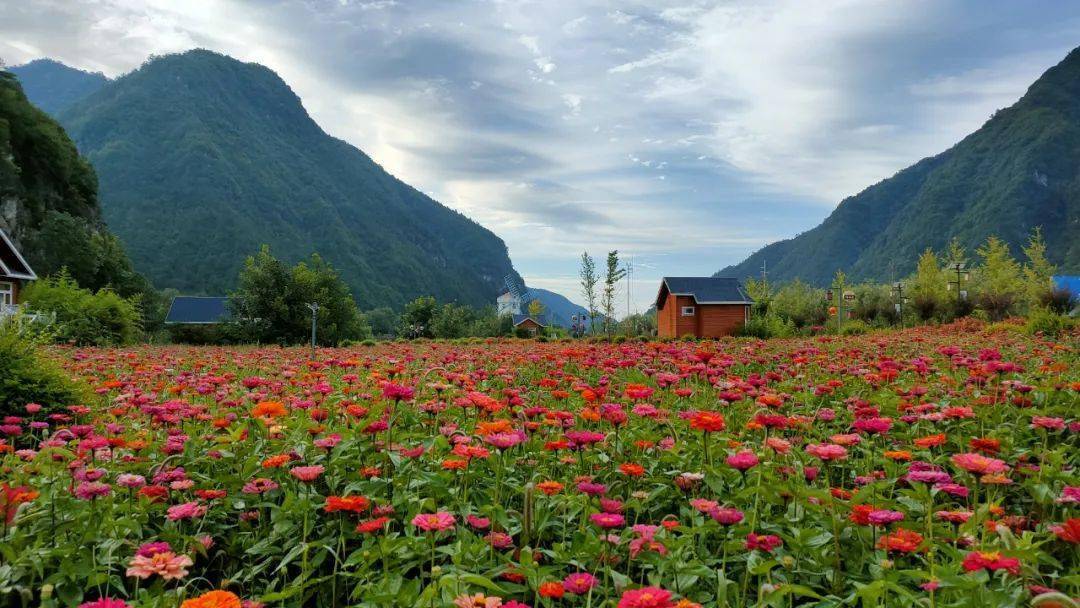 巡检:一个回眸,秋天便成了风景,我在秋里等风也等你_许永波