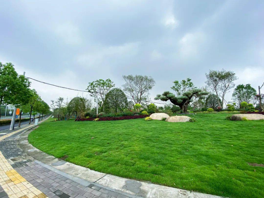 东路休闲公园来啦,总面积超过200000平方米的中山"绿肺"规模初现_绿地