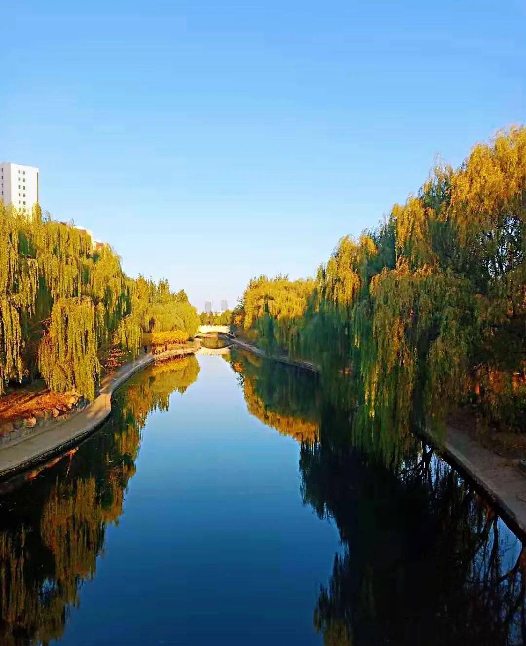 碧水蓝天护河人 一船一网疏清流