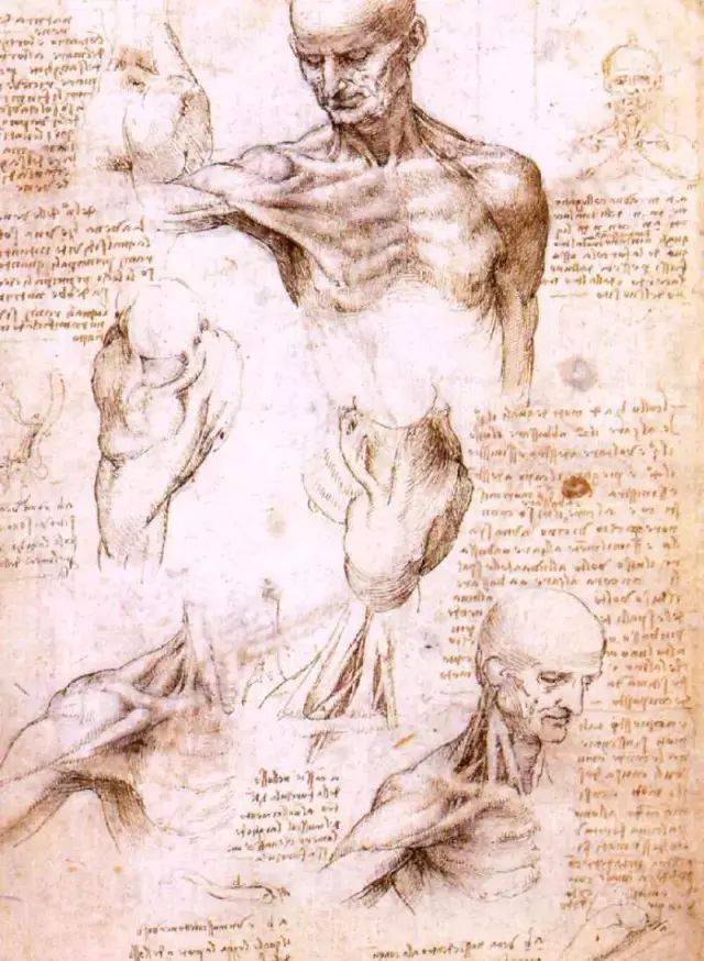 达芬奇经典素描手稿100张,收藏级