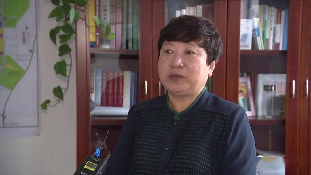 景泰县委副书记,县长 张文玲:我们聚焦企业反映的突出问题,全面落实