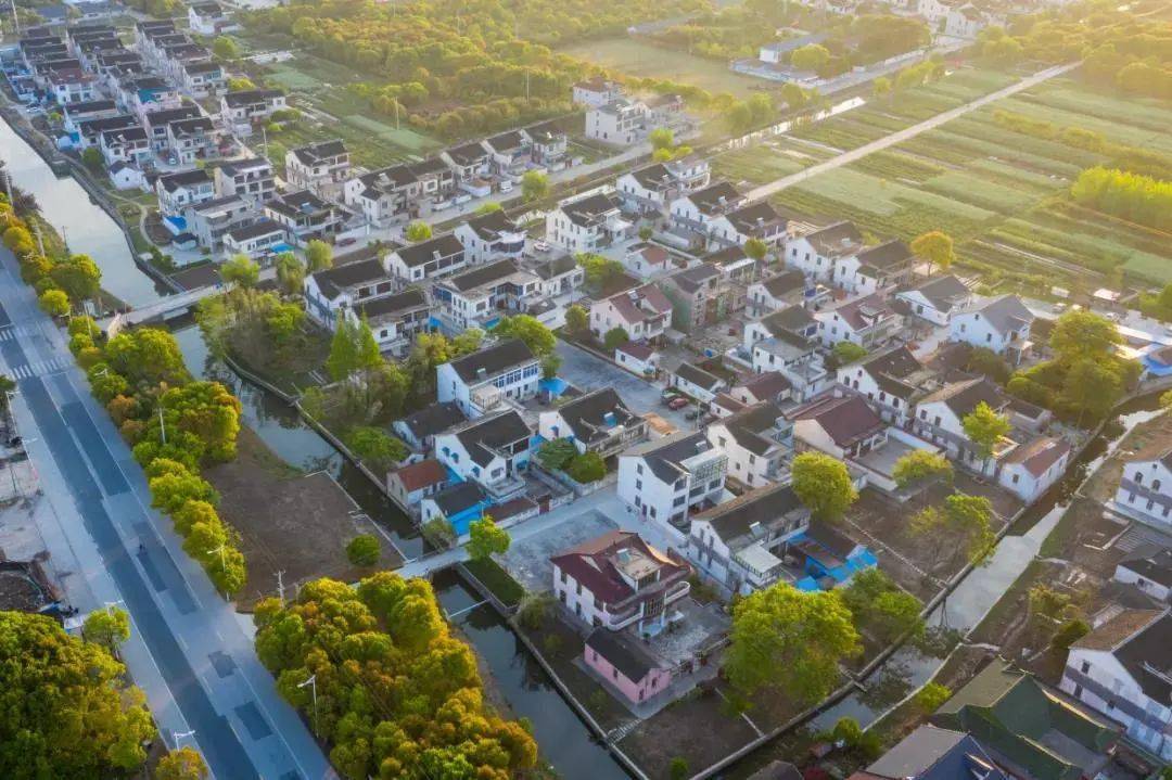 丰收节里喜相邀常熟田你的希望田