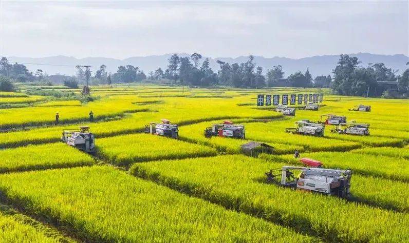 农业产业科技创新:助推现代农业腾飞_智慧