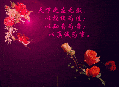 一首认识你是我的缘送给你感谢今生与你相遇