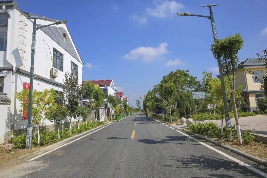 单县高韦庄镇美丽乡村示范村