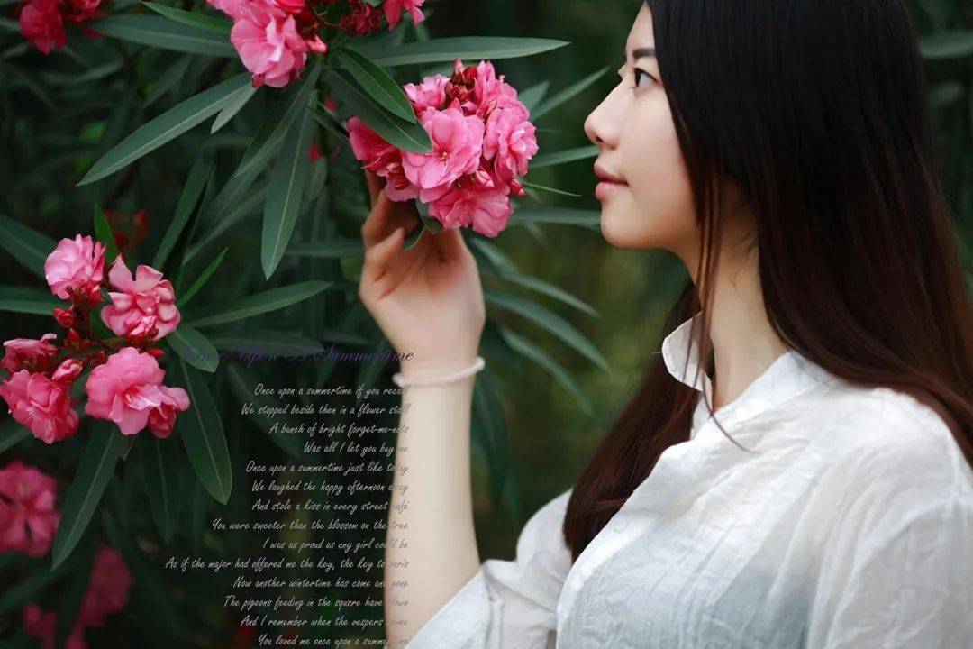 微风尚怜粉萼,独舞凌波娇美人.