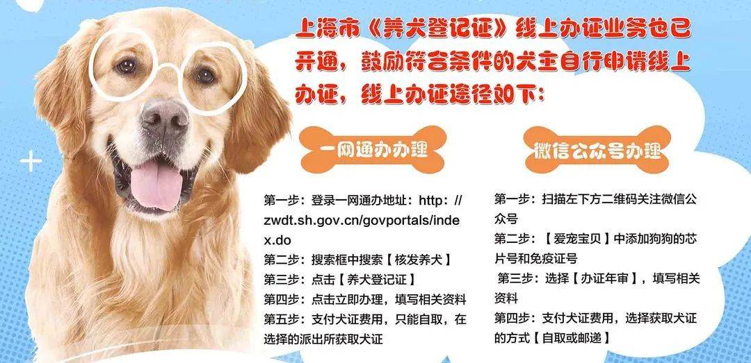 在虹口怎么办理养犬证什么品种的狗狗不能养新一季虹sir警报发布文明