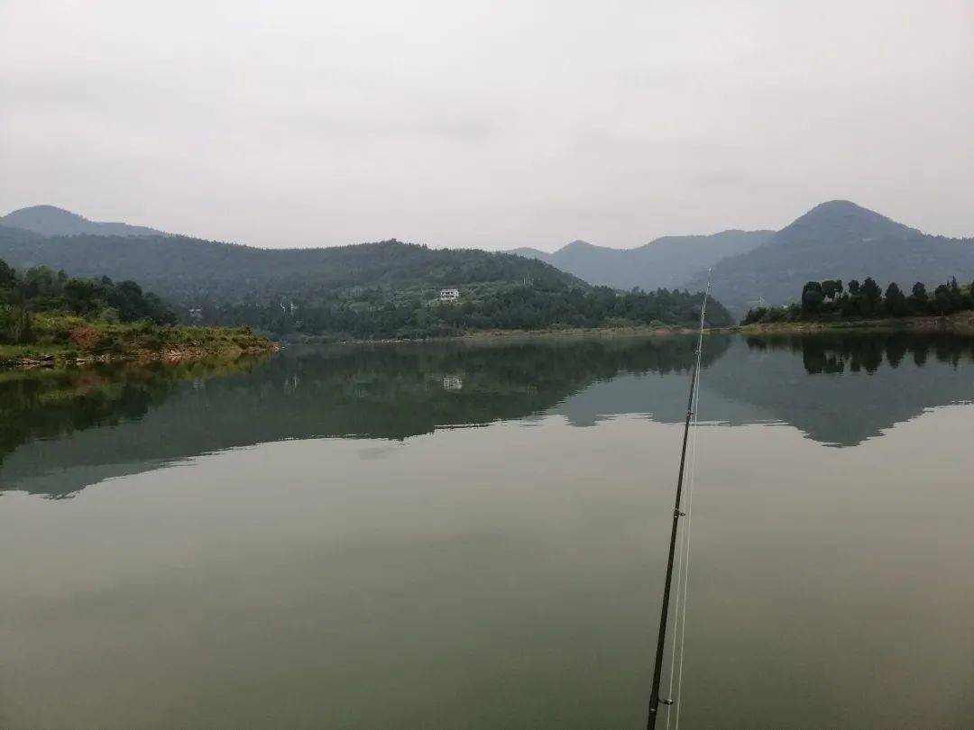 升钟湖钓红尾原来这就是路亚的魅力上