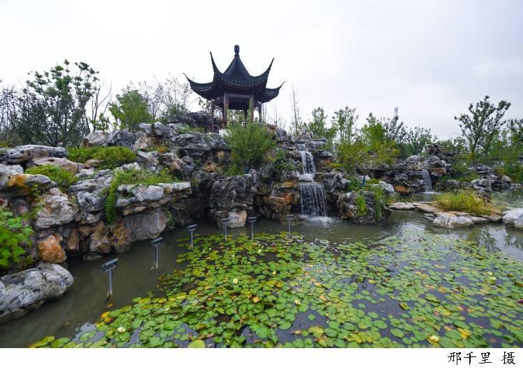 這裡有你的鄉愁記憶也有你嚮往的理想生活青浦環城水系公園國慶長假等