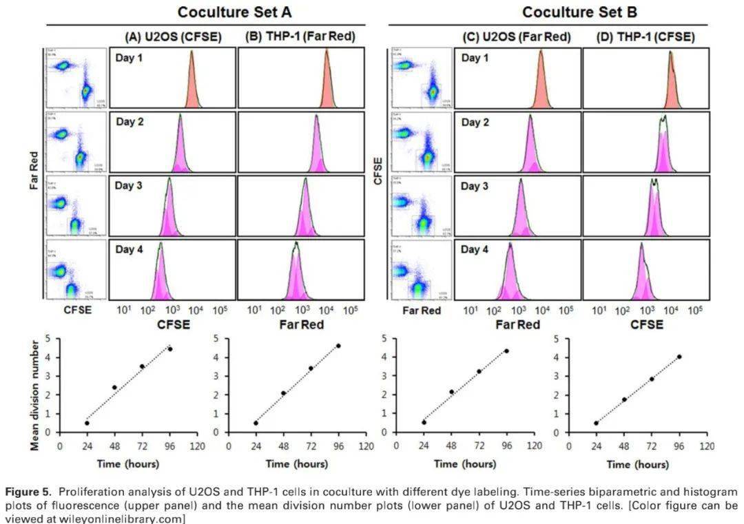 当cfse测细胞增殖时没有多峰,仅出现单峰左移时,不要怀疑自己_手机