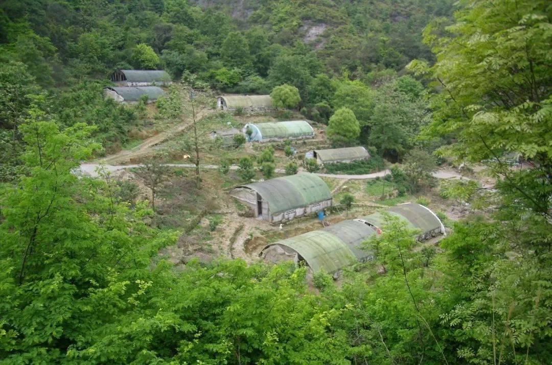 厉害了乐清这家养鸡场的鸡上了省级名录年产值2500万