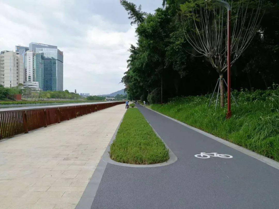 今后,深圳人真的,真的可以骑车上下班了!_自行车