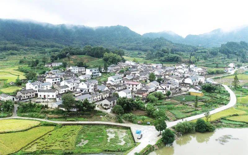 【脱贫攻坚】黄山市局:太平湖美 夏村秋实
