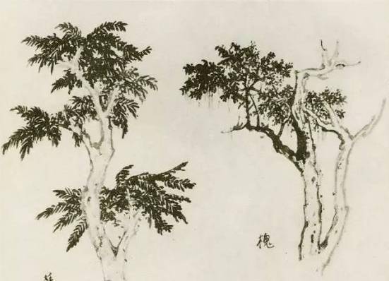 【国画教程】怎样画树？不妨看看这里_树木
