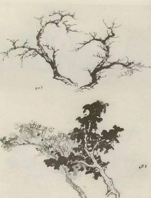 【国画教程】怎样画树?不妨看看这里_树木