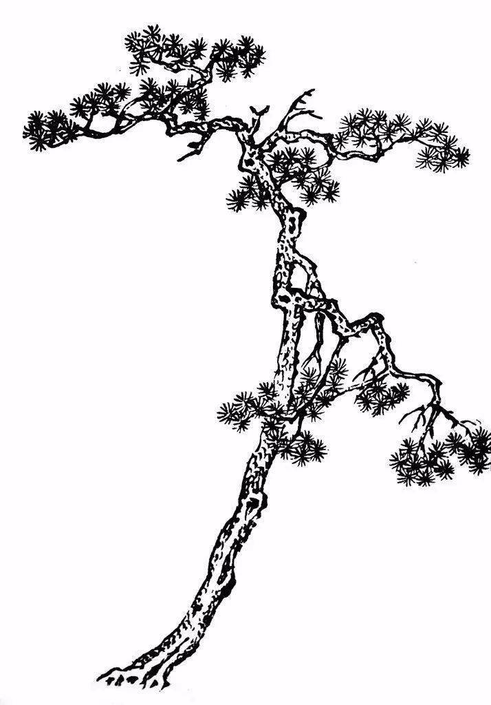 山水画入门:写意树木技法详解_枝干
