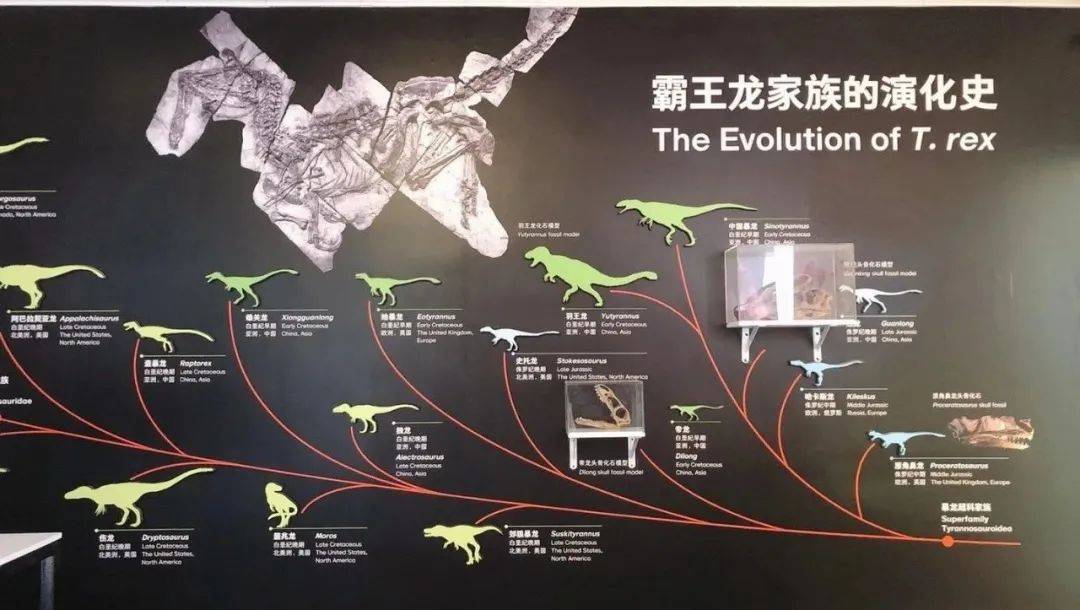 pnso恐龙博物馆目录图片