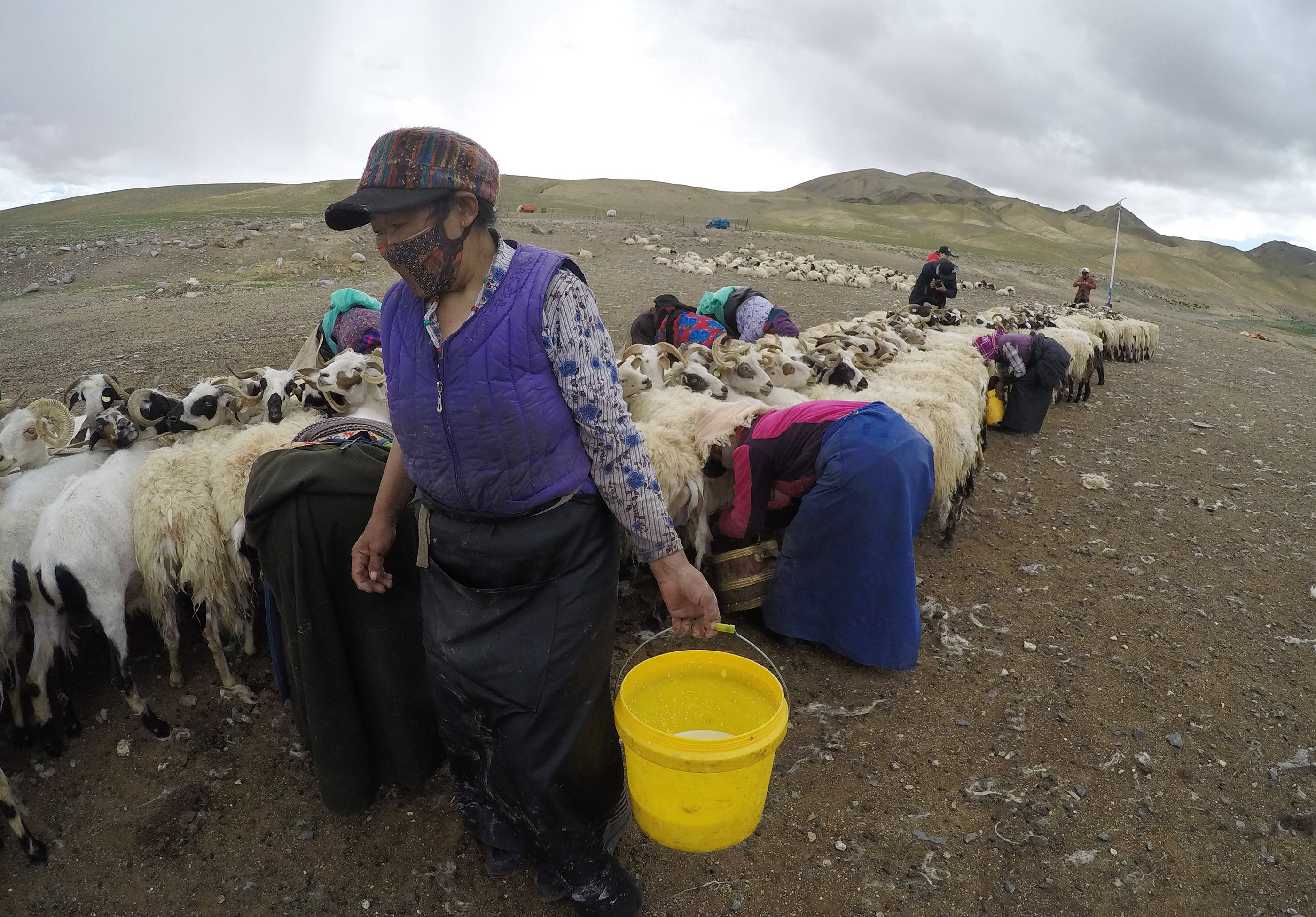 两次迁徙"搬穷"记——海拔最高县双湖的"战贫故事"-搜狐大视野-搜狐