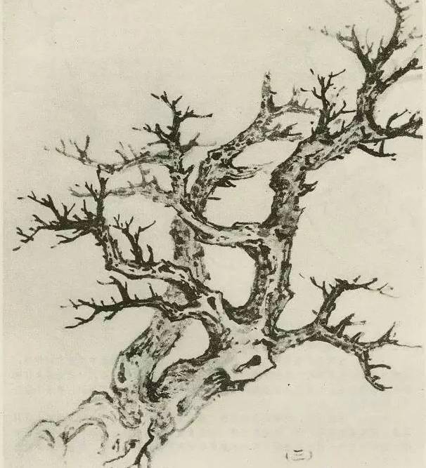 【国画教程】怎样画树?不妨看看这里_树木
