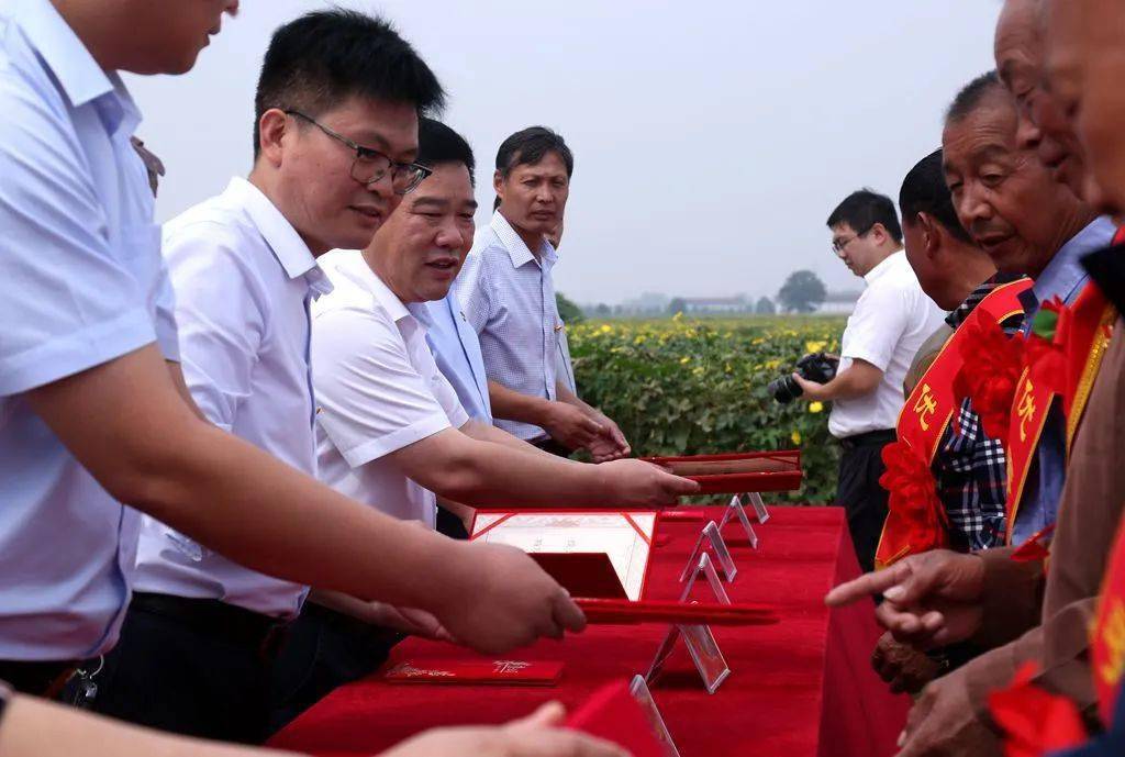 党徽闪耀秋色好乡风和谐民欢笑傅集镇吕寨村举行第三届孝老敬老饺子宴