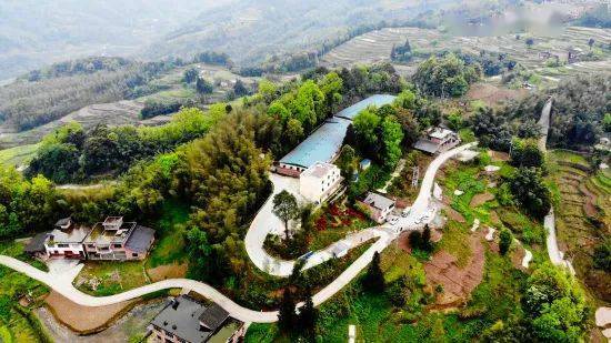 袁利雄开办的赤水市高竹村御豚苑生态猪育肥基地2019年底,袁利雄又