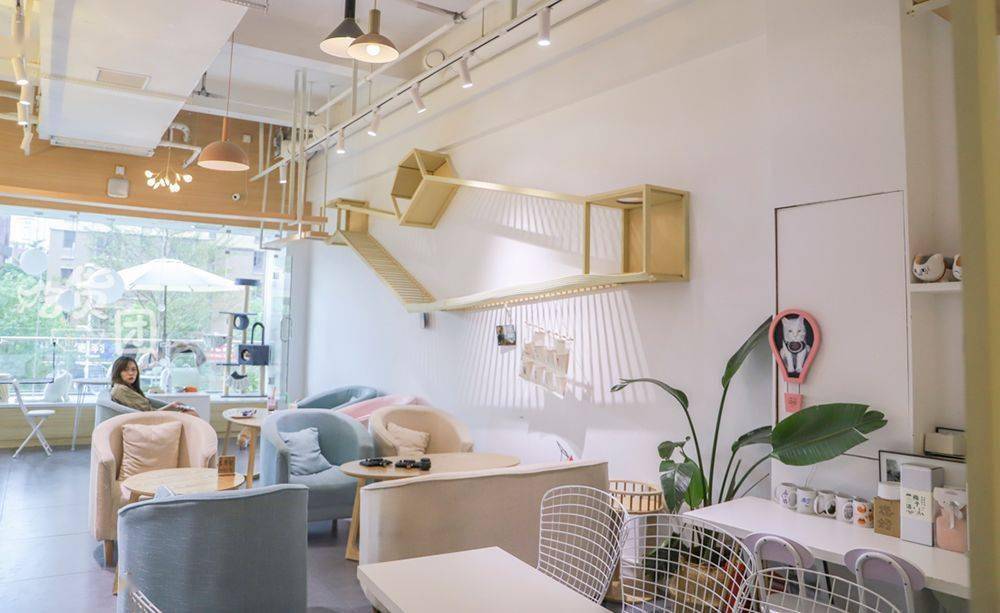 这里猫咪宜居这家猫宁morning猫咖开在福大怡山创意园