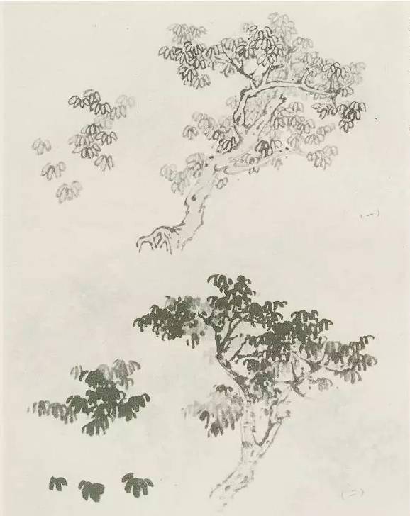 【国画教程】怎样画树？不妨看看这里_树木