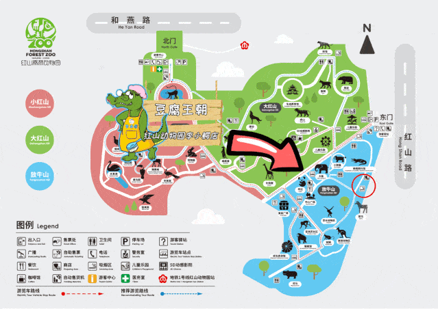 洋气升级后的红山动物园可以这么玩