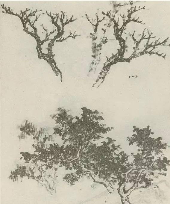 【国画教程】怎样画树?不妨看看这里_树木