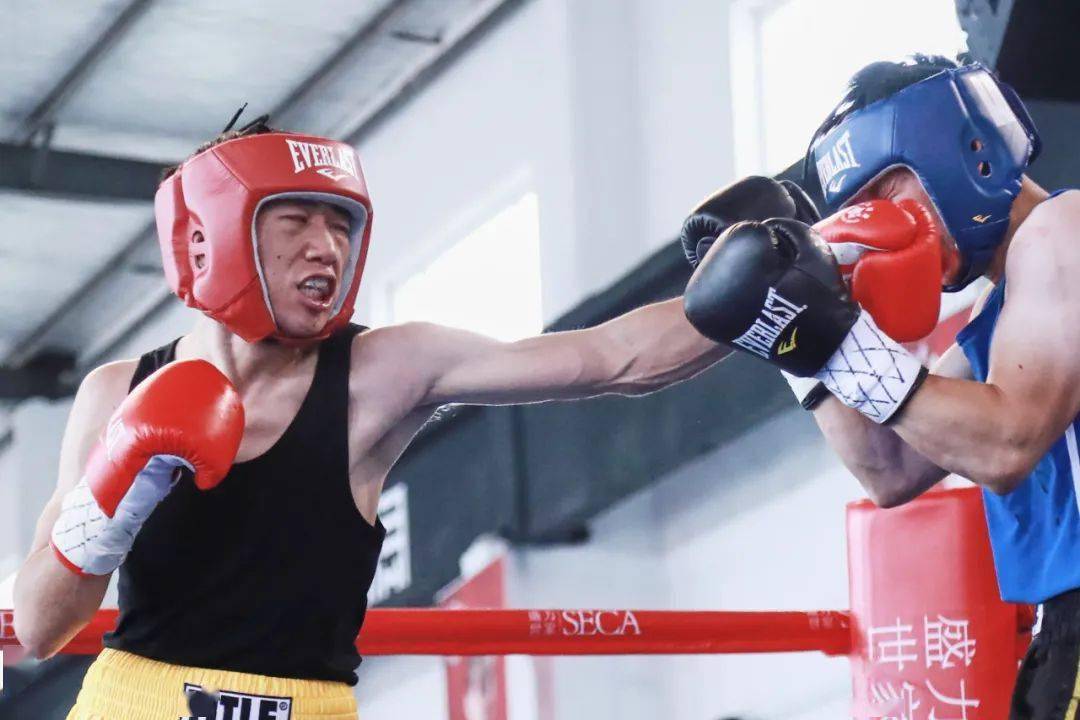 wbo亚太青年拳王董有礼6回合完胜别格扎提,首期"拳力