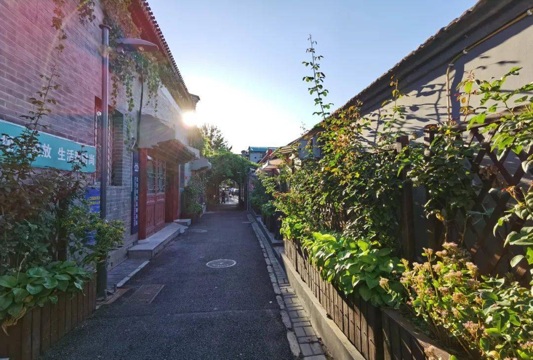云逛胡同丨义达里闹市中的桃花源