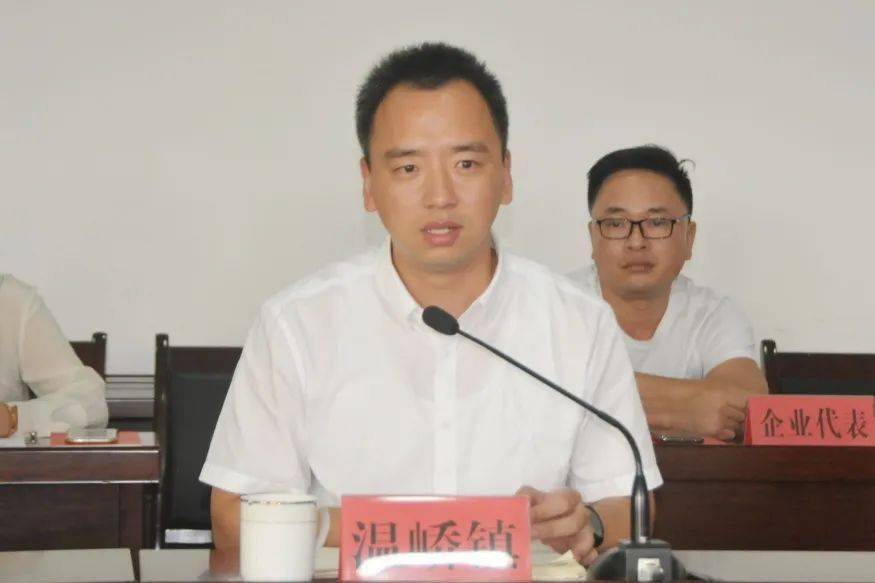 【温峤要闻】市人大常委会副主任潘立平调研我镇"七