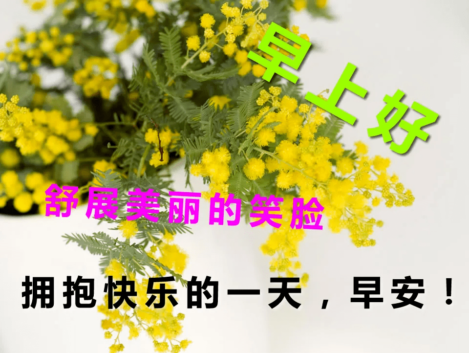 早上好最火的早安暖心問候語 特別漂亮的美女圖片帶字_祝福