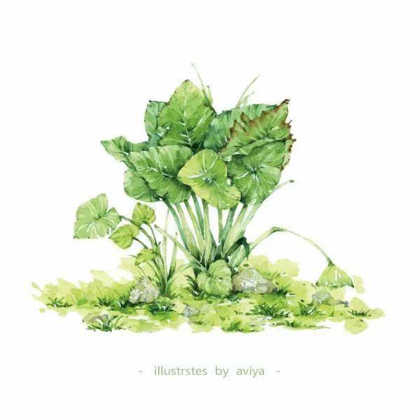 水彩| 一组角落特写小景