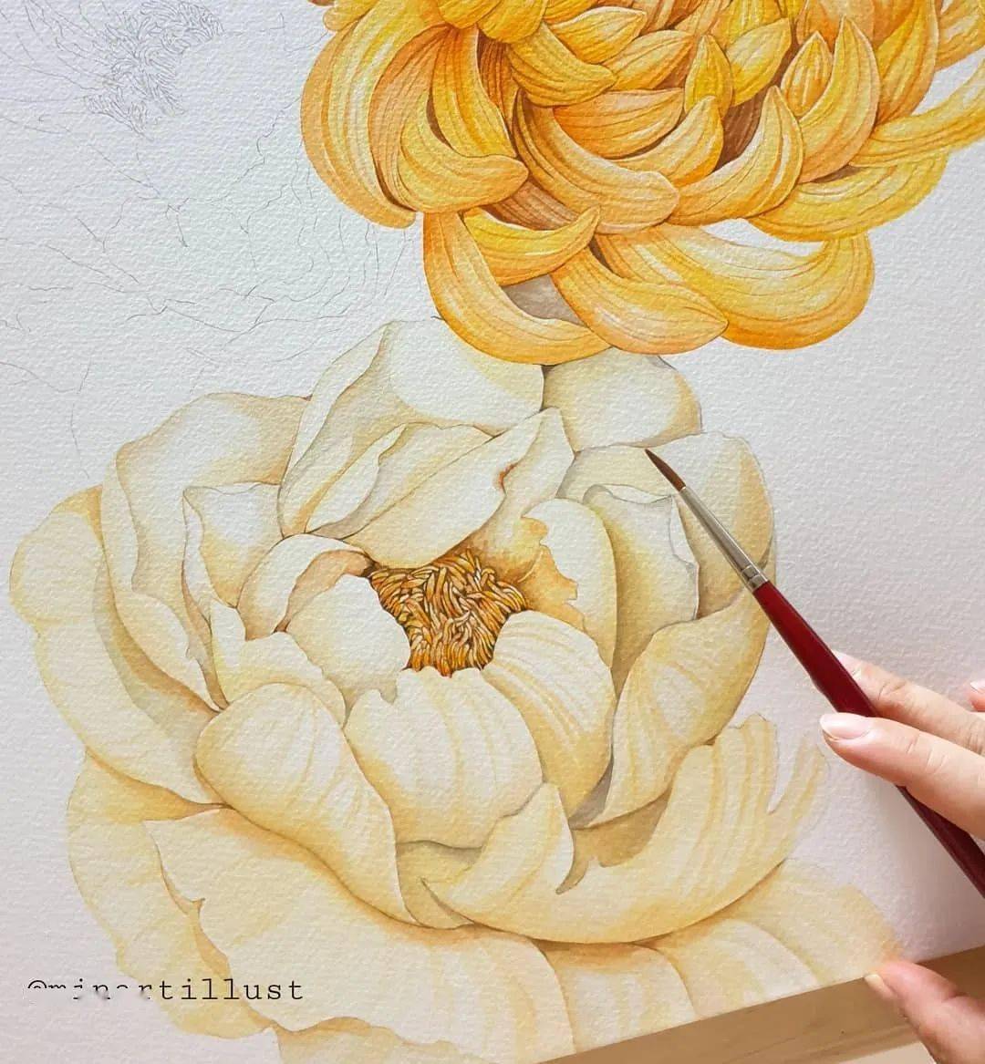 细腻写实的花卉植物水彩手绘