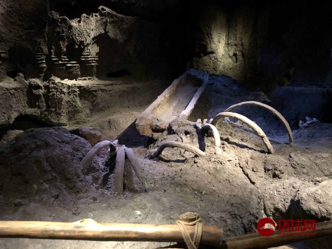 【潮涌长三角】在上海,有这样一处藏着6000年文化的古老遗址……_考古