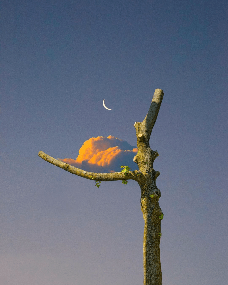 美籍韩裔艺术家kanghee kim作品欣赏!