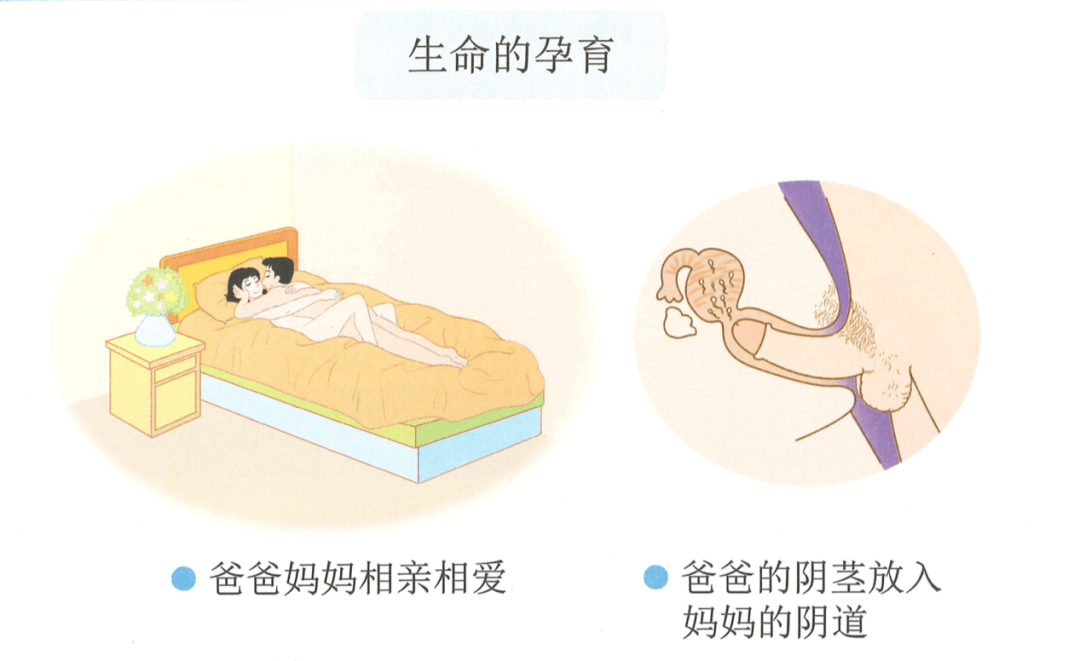 老师教怀孕知识遭投诉有些中国家长比孩子更需要性教育