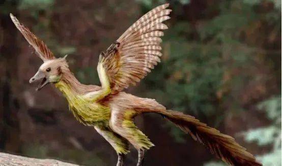 12亿年前部分恐龙已经定期换毛最终变成鸟类