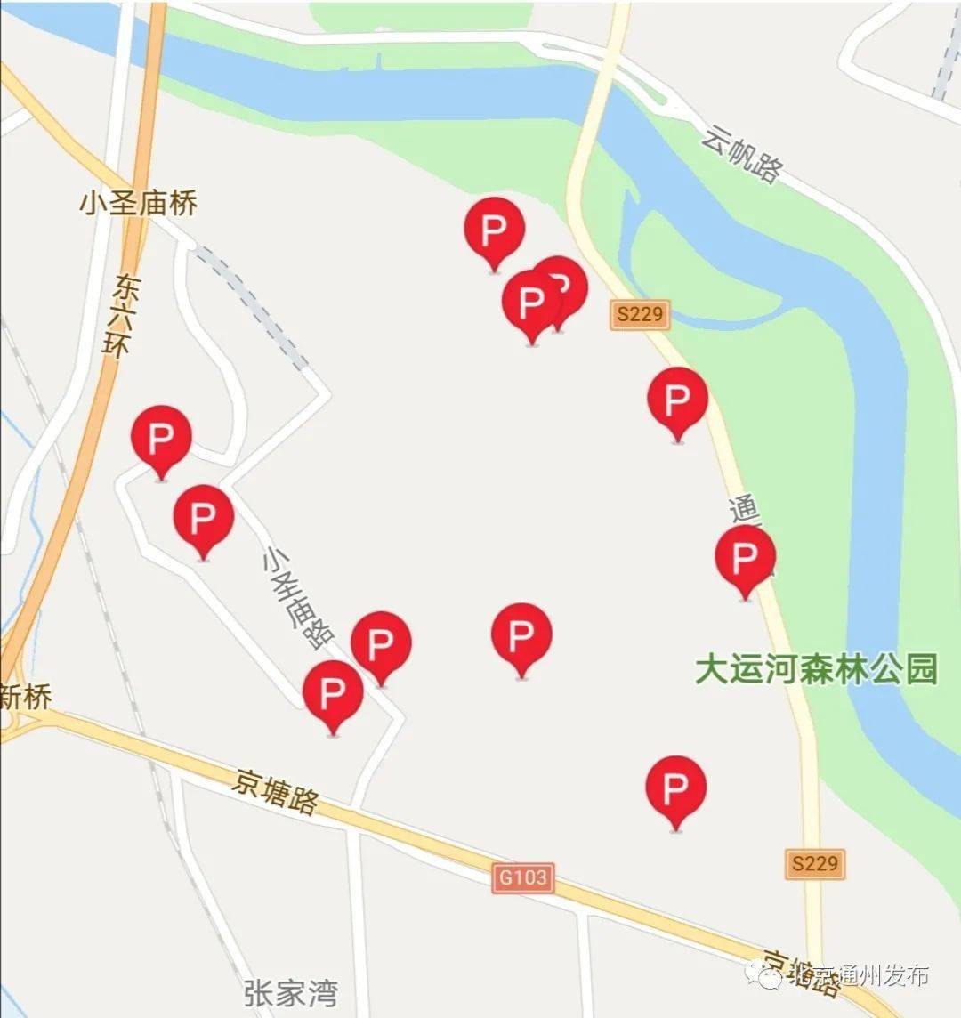 刚刚城市绿心森林公园开园啦最新游园攻略请收好