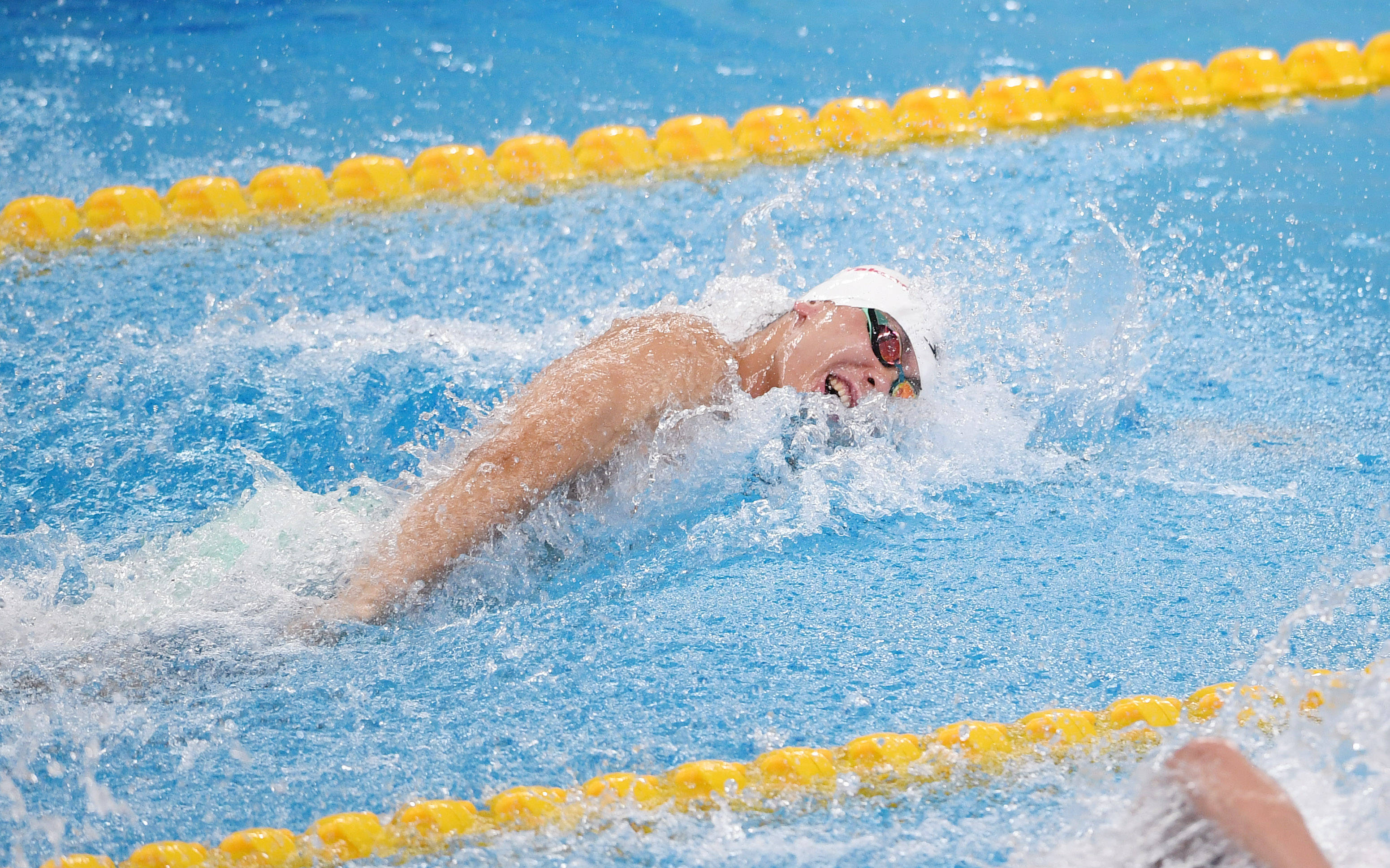 自由泳100米世界纪录图片