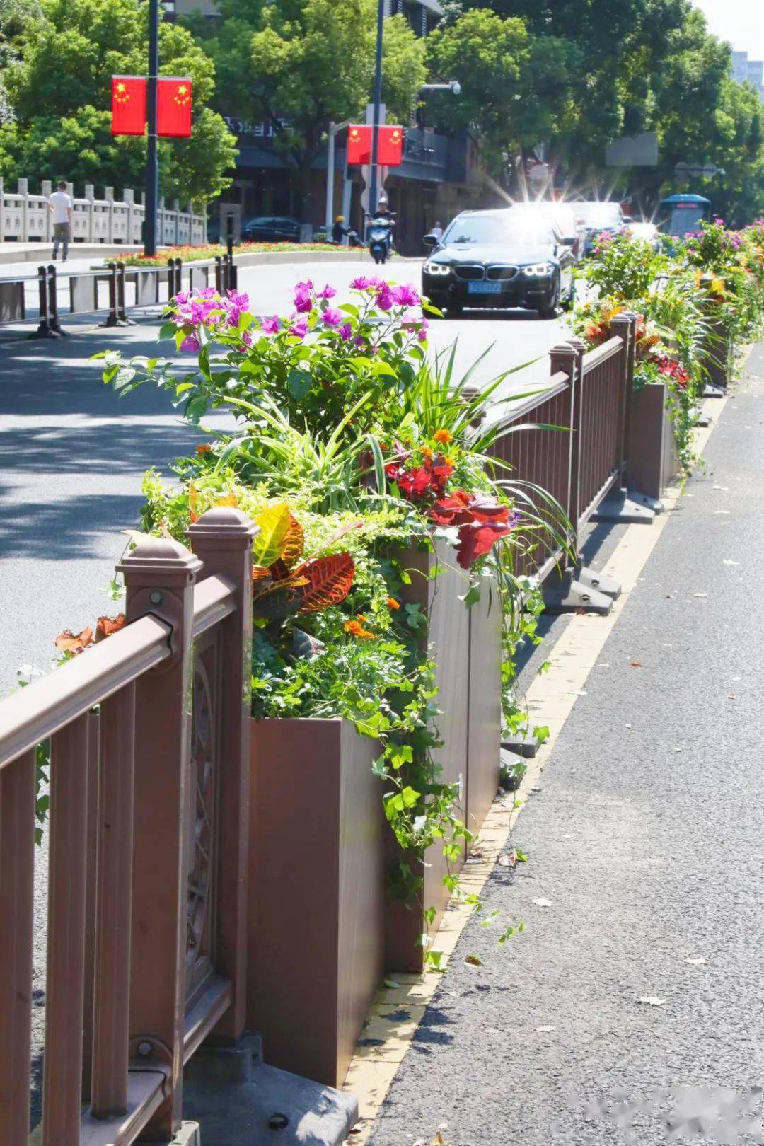 "颜值"爆表!庆国庆,400组花箱亮相宜兴城区街头