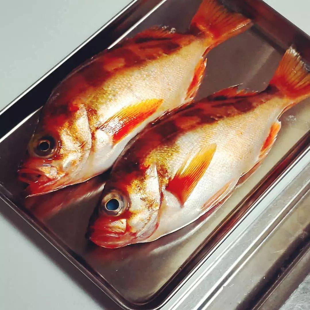 張赤鰅鱼是日本的高级鱼之一,鱼皮呈红色,与喜知次并称两大高级红皮鱼