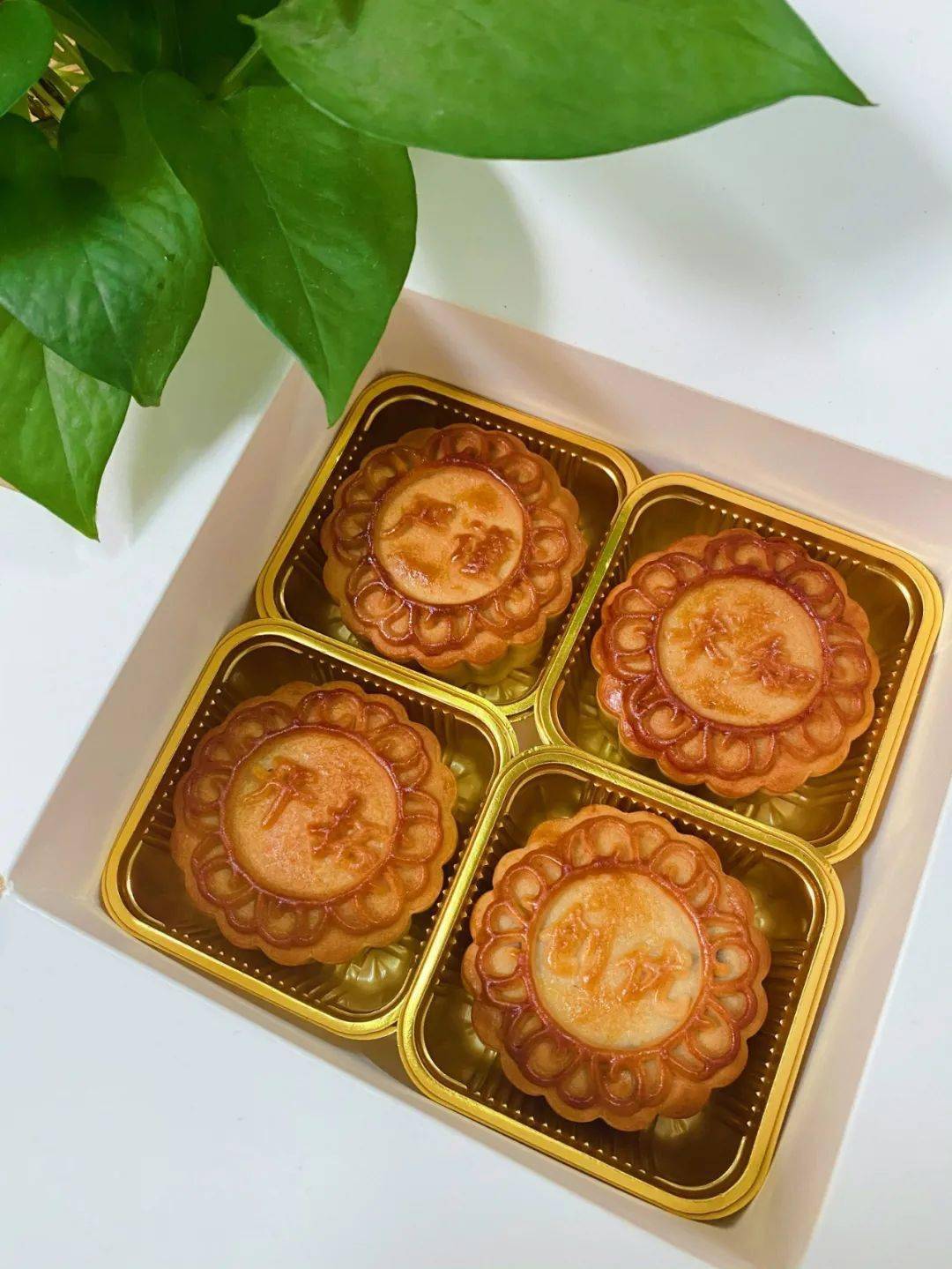 这款定制的校训月饼有最温暖的江外院味道